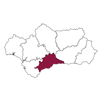 Calibración Málaga