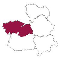 Calibración Toledo